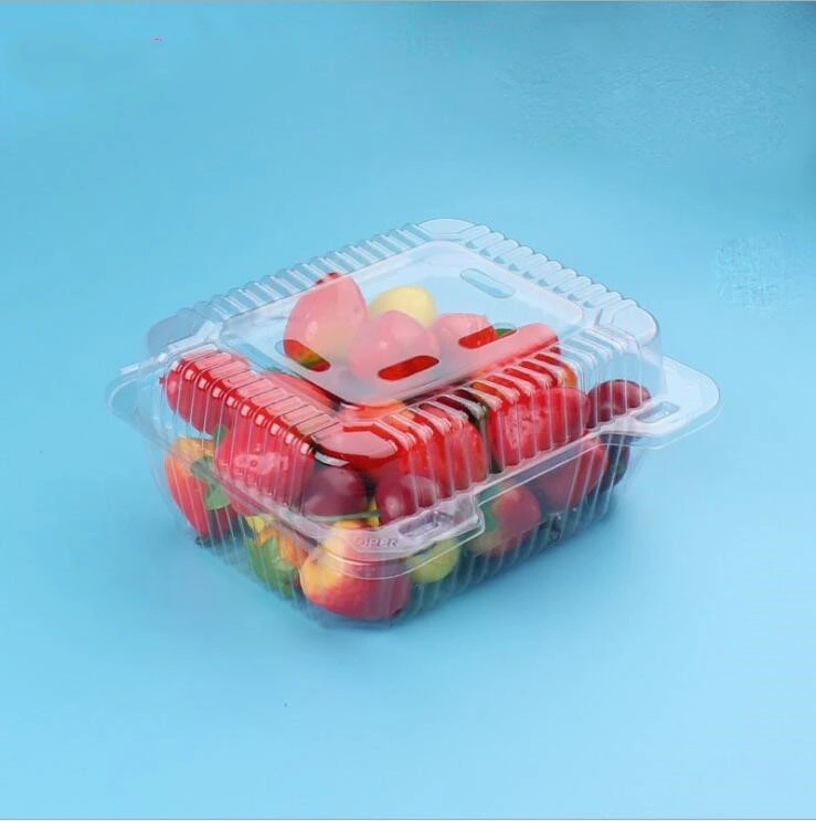 wholesale factory  PET Fruit and vegetable  punnets Food Container with EU regulation