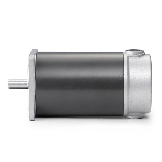 45mm Low Power High Torque 24V 3000rpm Permanent Magnet DC Carbon Brush Motor for Massage Chairs