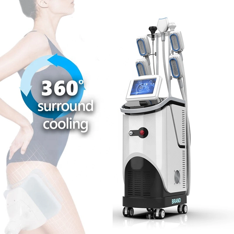 Body Contouring Fat Removal Fat Freeze Beauty Salon Equipment