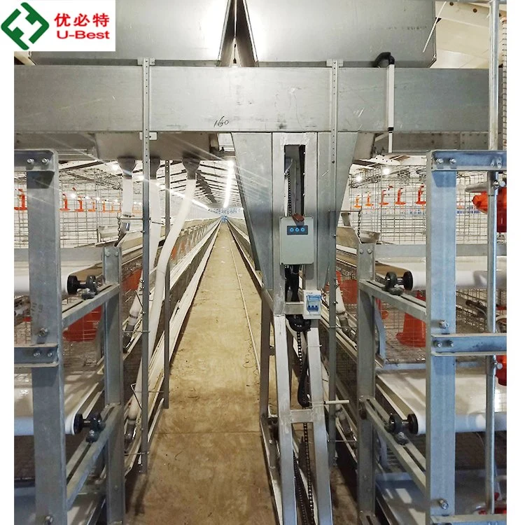 Automatic Feeding and Drinking Chicken Farm Cage for Broiler