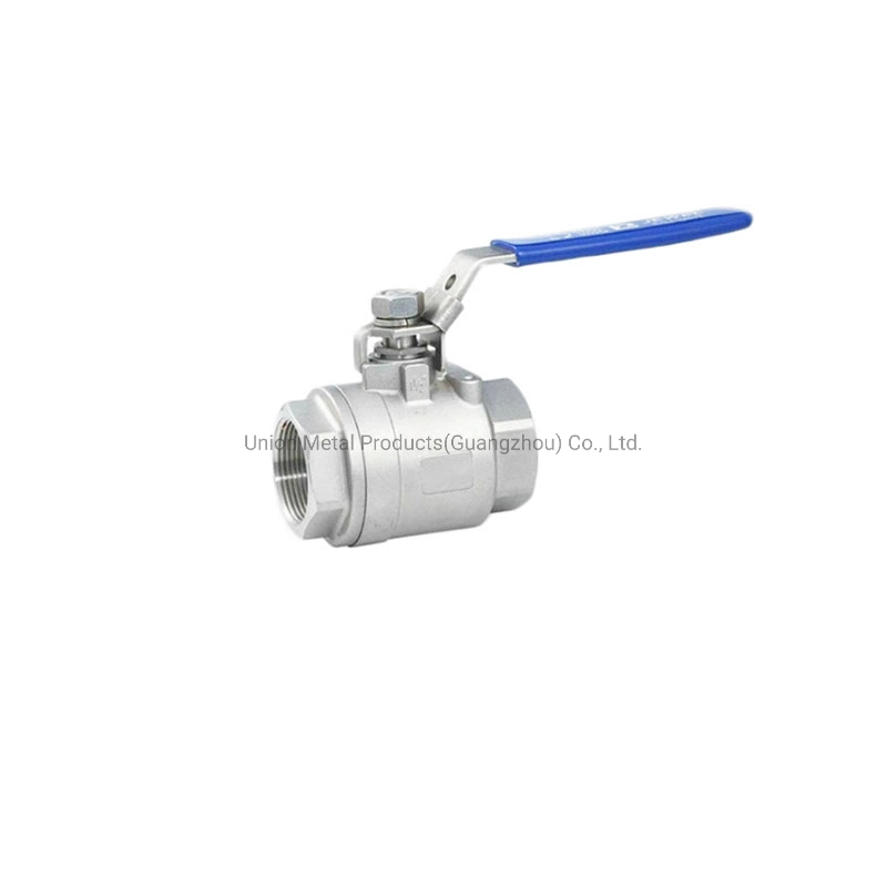 Stainess Steel Pipe Fitting SS304 SS316 Lift Check Valve