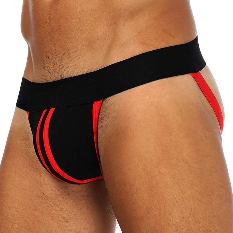 Men Custom Design Underwear Wholesale Nylon Transparent Sexy Mens Underwear for Gay Briefs