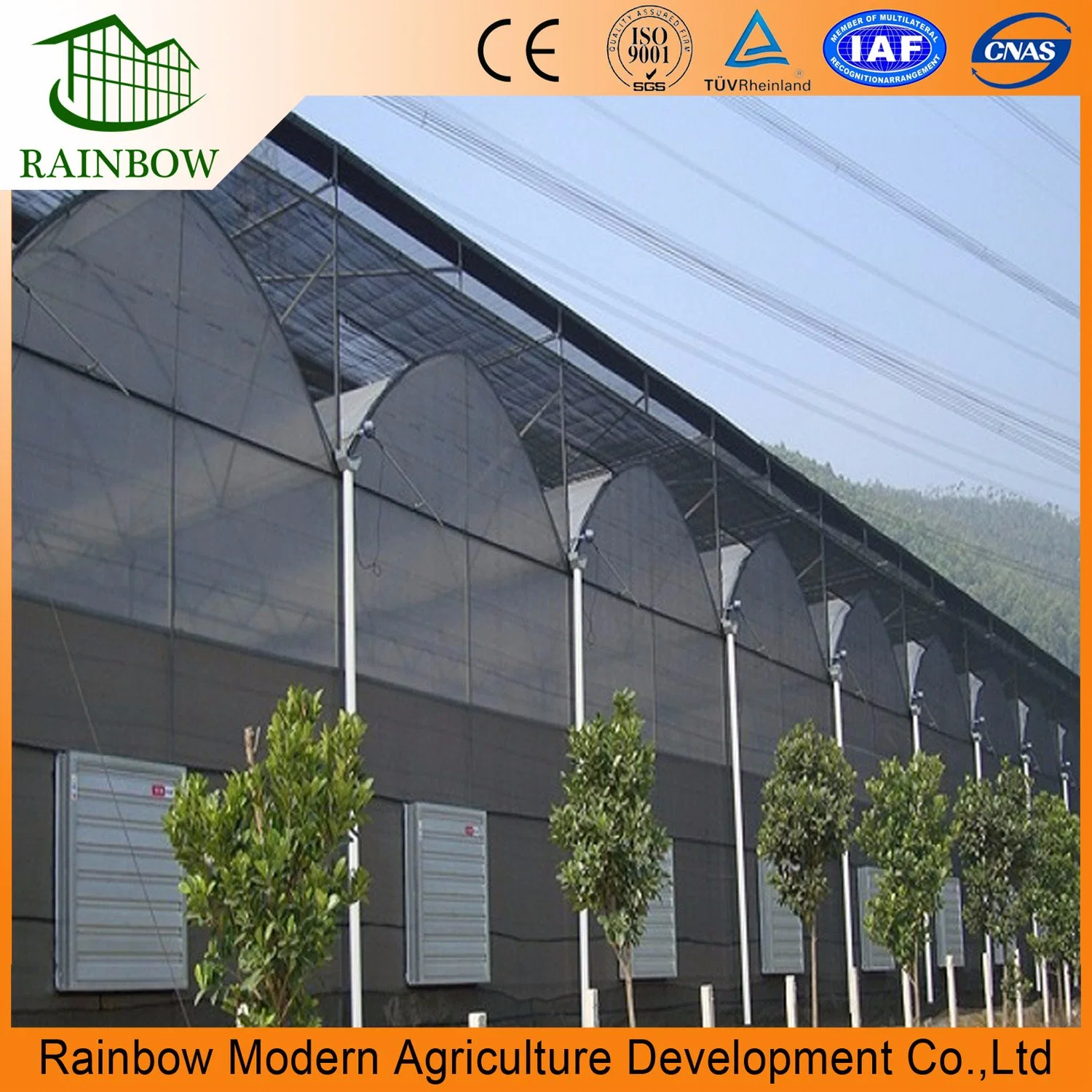 Good Quality Tempered PVC/PE Film Greenhouse for Vegetable Plantation