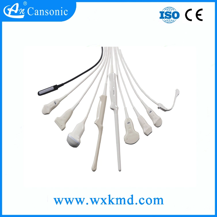 Trolley Ultrasound Scanner in Wuxi Cansonic