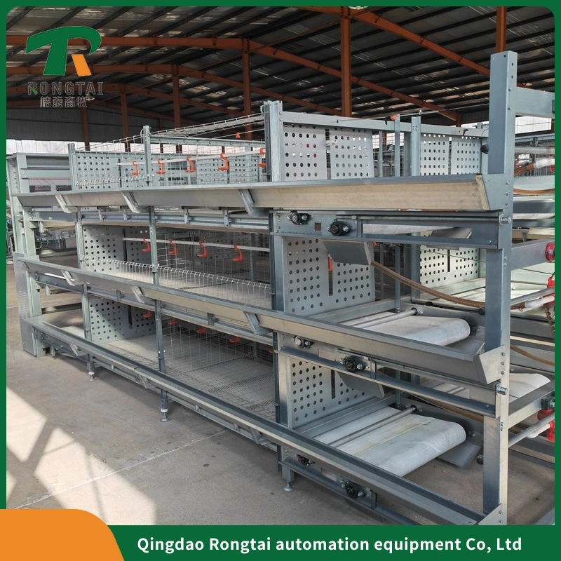 250 Birds Capacity Cage Kenya Layer Chicken Cages for 2000 Birds Small Farms