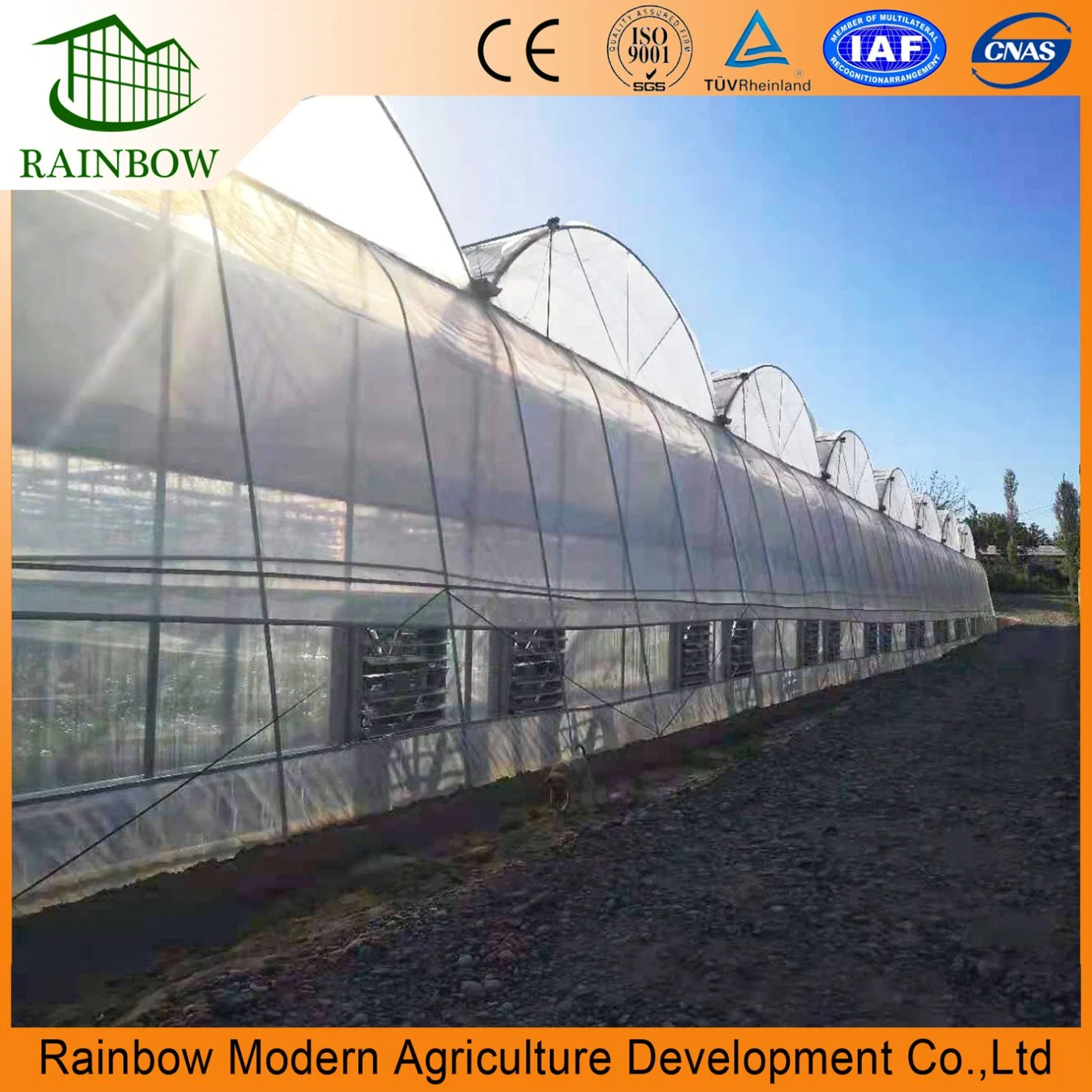 Soilless Culture Hydroponics System Agricture Greenhouse for Tomato Cucumber Pepper