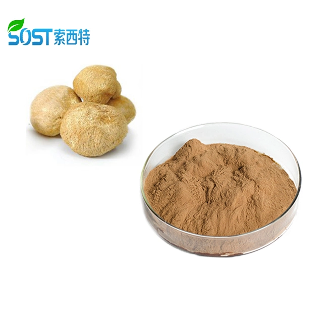SOST Factory Supply Organic Lion's Mane Mushroom Extract Powder