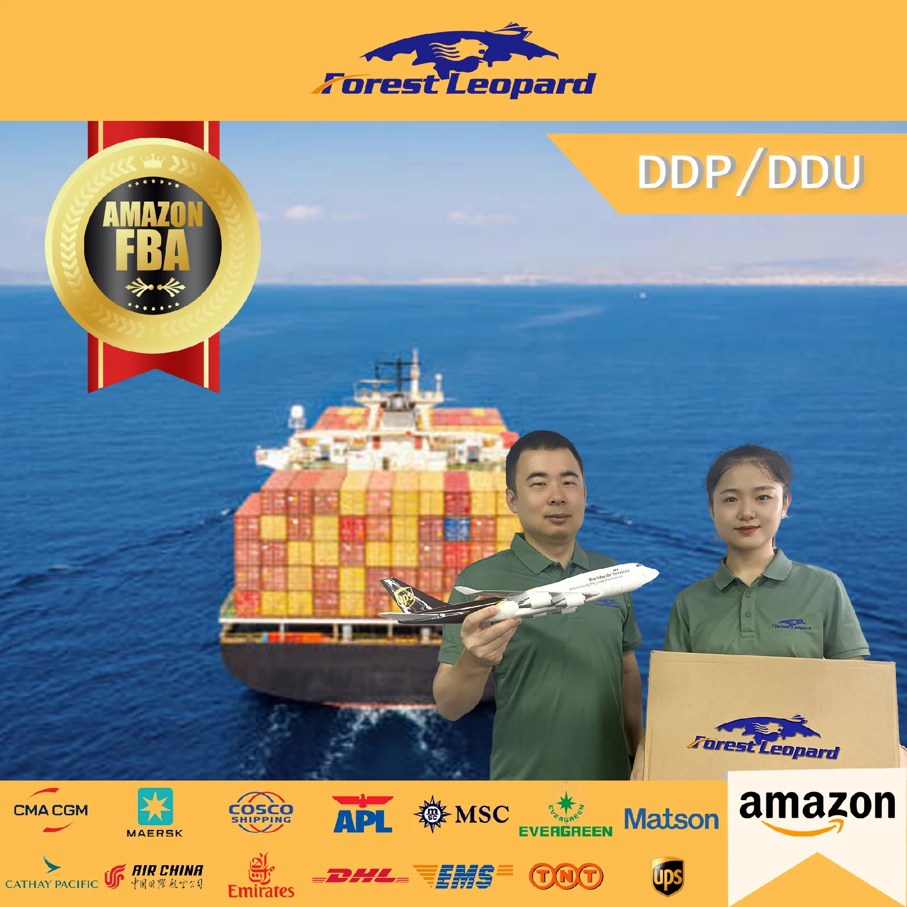 Cheapest DHL FedEx UPS EMS TNT Express Shipping China to USA/UK/Germany/France/Canada Amazon Fba