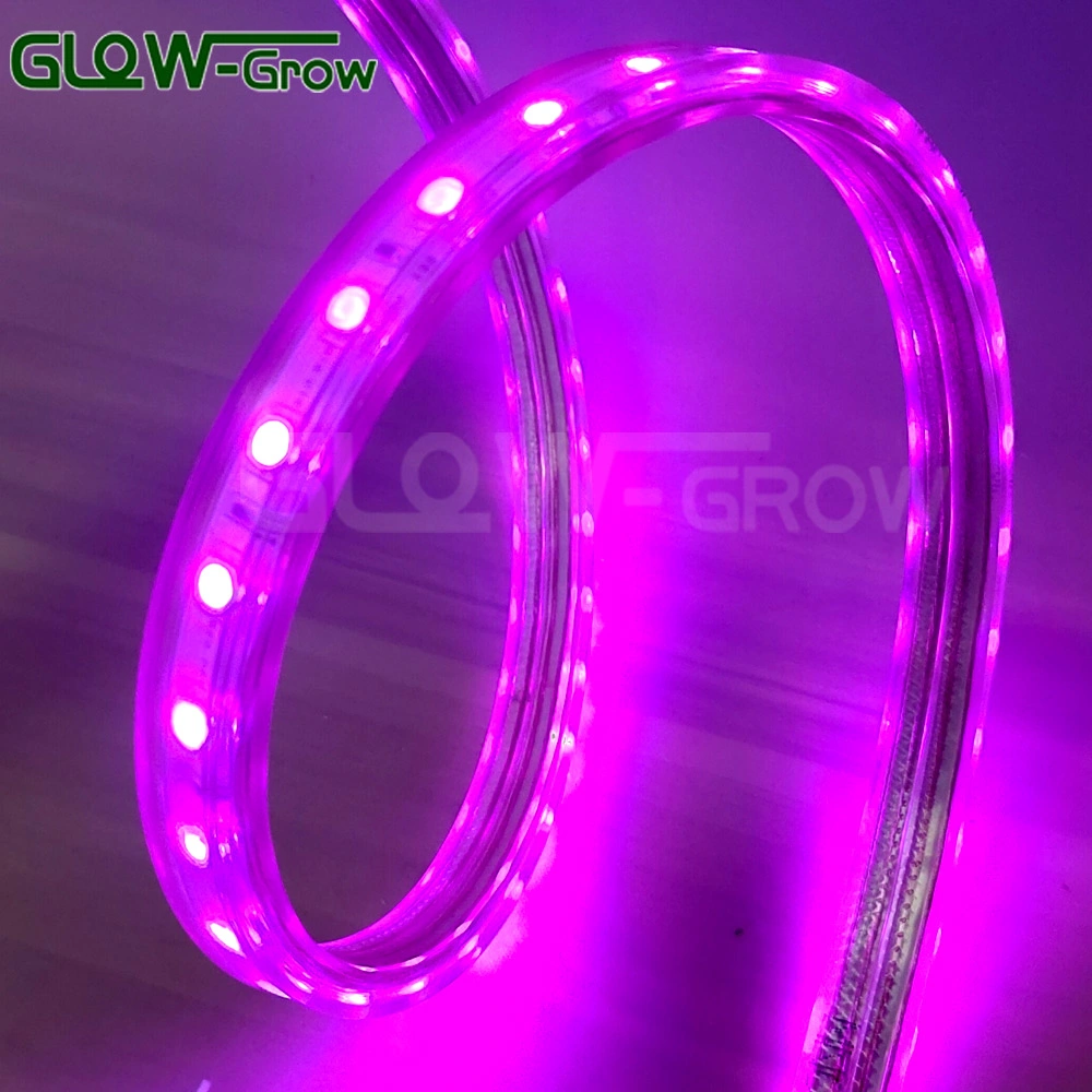 Easy Installation IP65 Waterproof High Voltage RGB Sync LED Strip Light 5050 Strip LED 220V for Landscape Outdoor Christmas Decoration