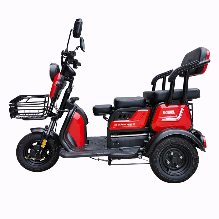 3 Wheel E Bike for Philippines/Canada with Best Price From Original Factory