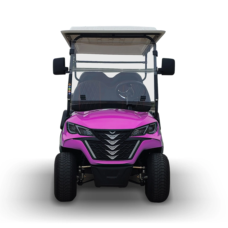 Vente en gros Chine a fait le stock adéquat Golf Buggy 4 sièges Forge G4 Golf Cart