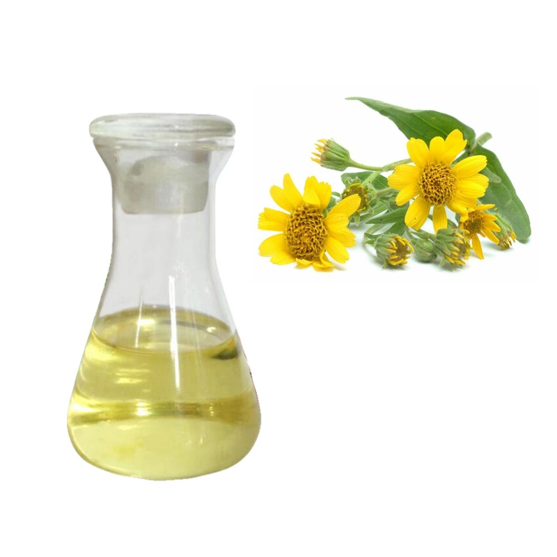 Destilación al vapor Arnica Montana Extracto de Flores/Arnica Montana aceite