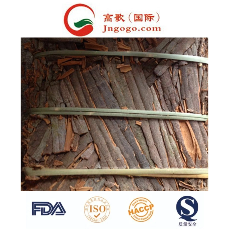 High-Quality Chinese Cassia - Long-Lasting Shelf Life