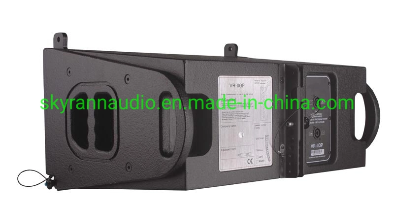 Vr110p unique de 10 pouces mini Neodyminum Passive enceinte de line array 650W