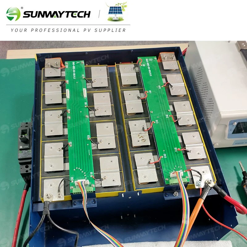 Schnelle Lieferung Lithium-Ionen-Akku Pack 24V 200Ah mit 5 Jahre Garantie