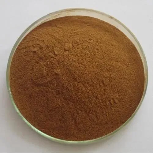 Ginseng Extract Good for Your Health Powder Form Strengthen The Immune System Root Extract