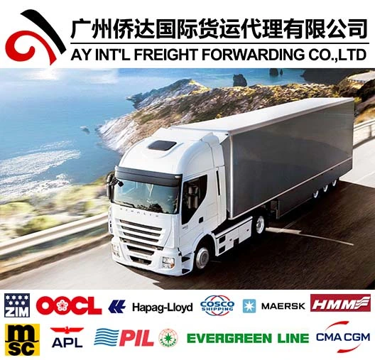 Cheap Shipping Freight From China to Chennai, India by Sea