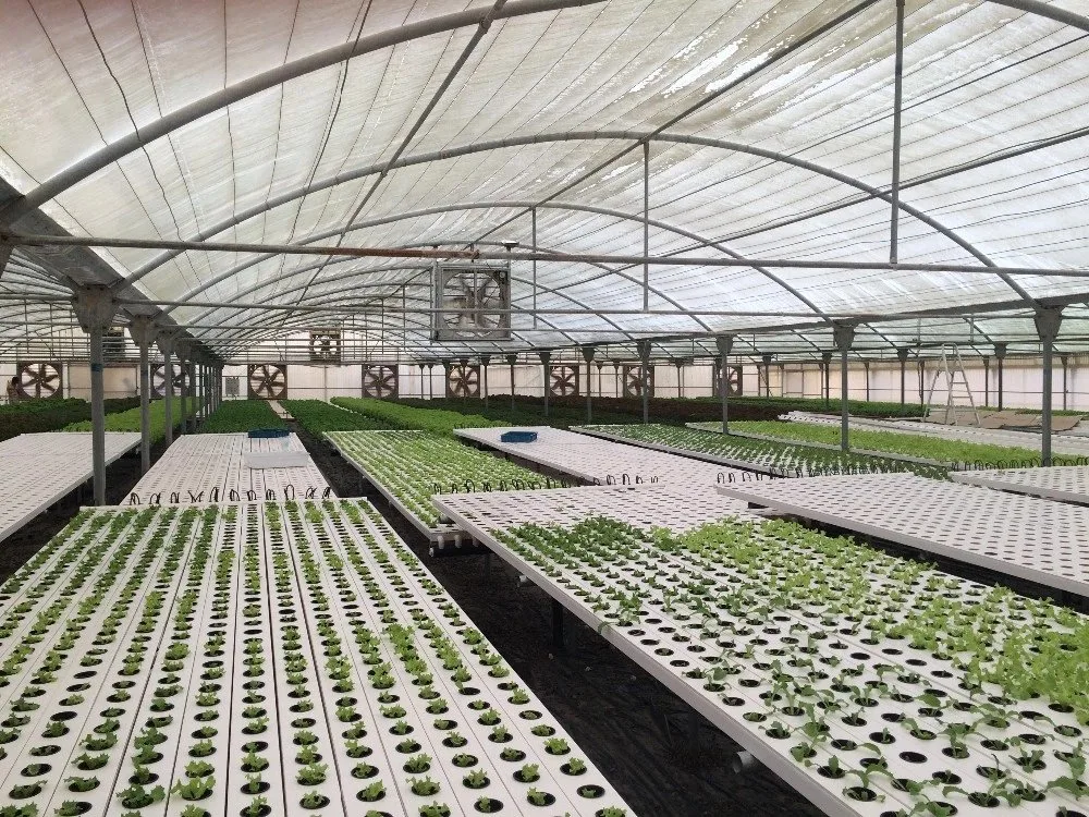 الزراعة الري بالاحتباس الحراري المياه الأيقونية قناة PVC Nft نمو Hydroponic النظام