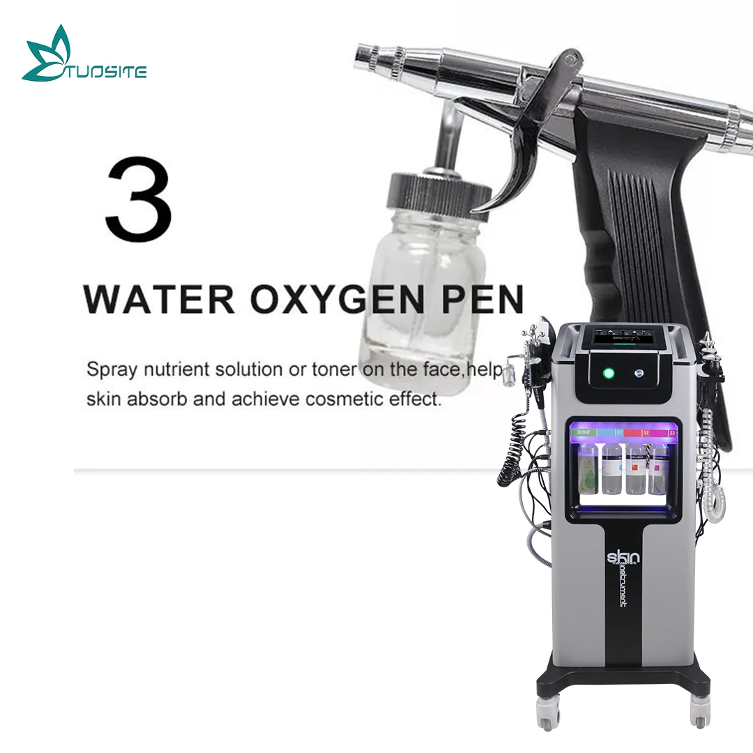 Oxygen Facial Multi-Functional Skin Care Beauty Equipment