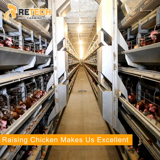 Dar Es Salaam Tanzania Poultry Farm Best Sale Chicken Layers Battery Cages