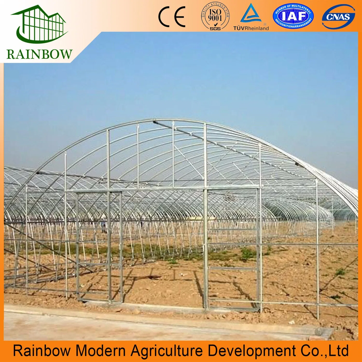 Commercial Single Span Plastic Film Tunnel Greenhouse