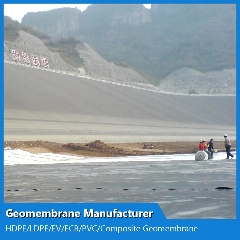 300g-0.6mm-300g Composite Geomembrane with Two Layers Geotextile One Layer Geomembrane for Fish Ponds/Shrimp Ponds/ Oxidation Ponds/Livestock Breeding