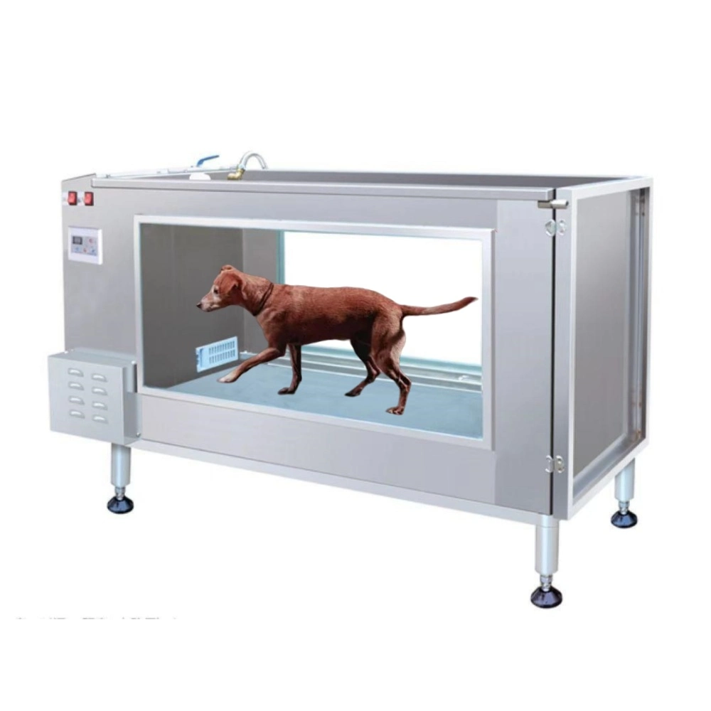 Stainless Steel Veterinary Pet Hydrotherapy Canine Treadmill Underwater Dog Treadmill