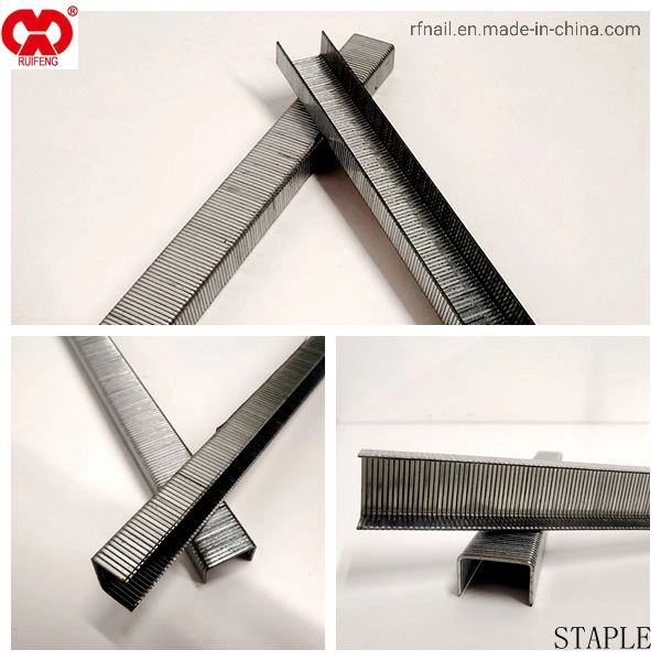 Latest Price Factory Supply 21ga -97b Fine Wire Staple.