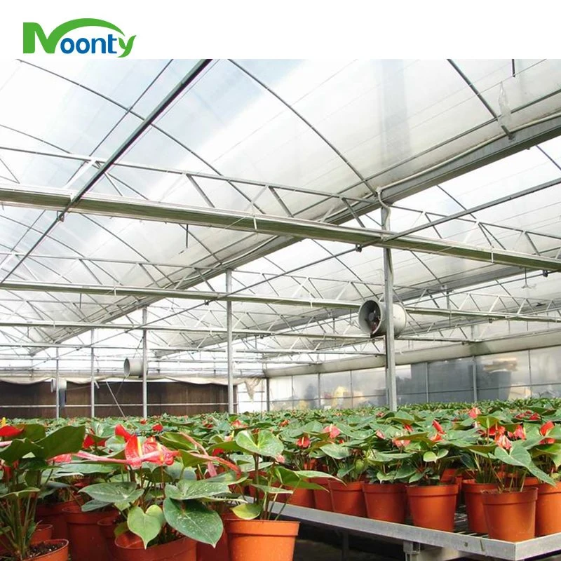 Factory Price Round Roof Multi-Span PE/Po Film Greenhouse for Vegetable/ Flower/ Herb Growing