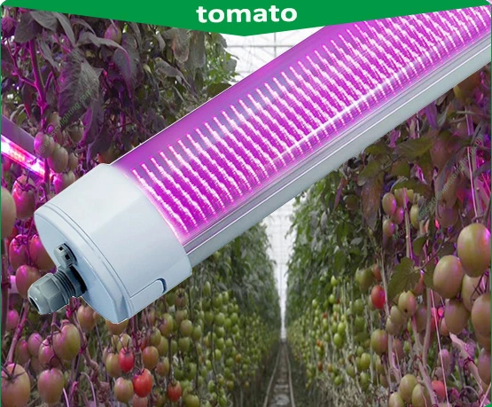 China Wholesale/Supplier Distributor 150W IP65 LED Grow Light, LED Tri Proof Light, LCD Screen, Mini Projector