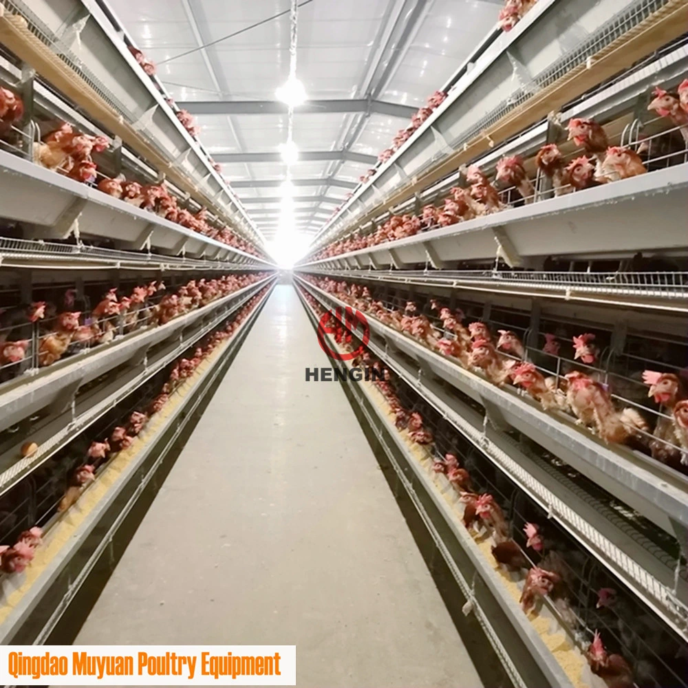 4-Tier Chicken Egg Laying Cage for Middle East Poultry Farm