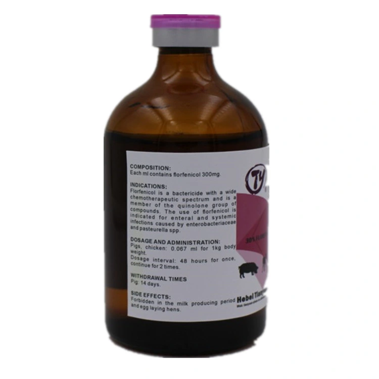 Florfenicol Injection 30% GMP Factory Supply 500ml 250ml 100ml 50ml 10ml Veterinary Medicine Antibacterial Drugs Top Quality Best Price for Animal