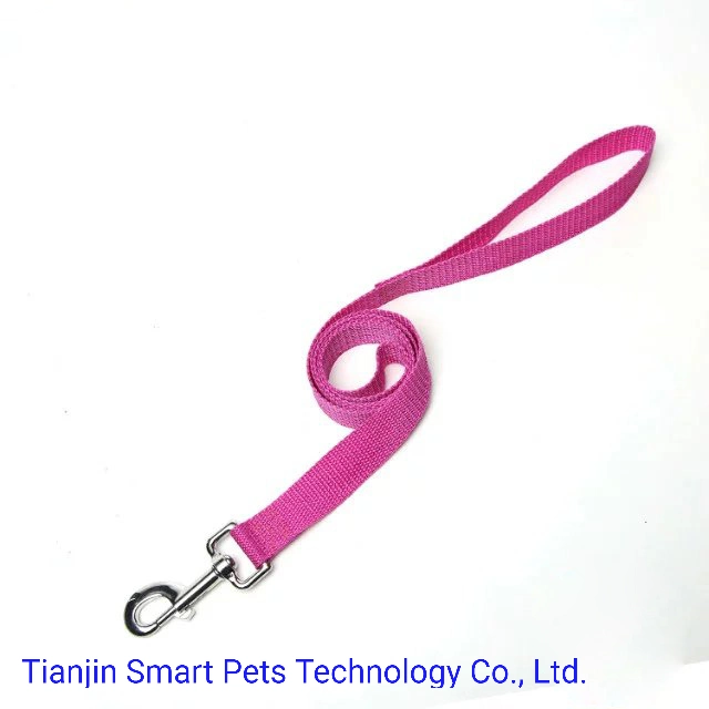 Manufacturer Best Fashion Pet Cat Dog Training Lead Supply