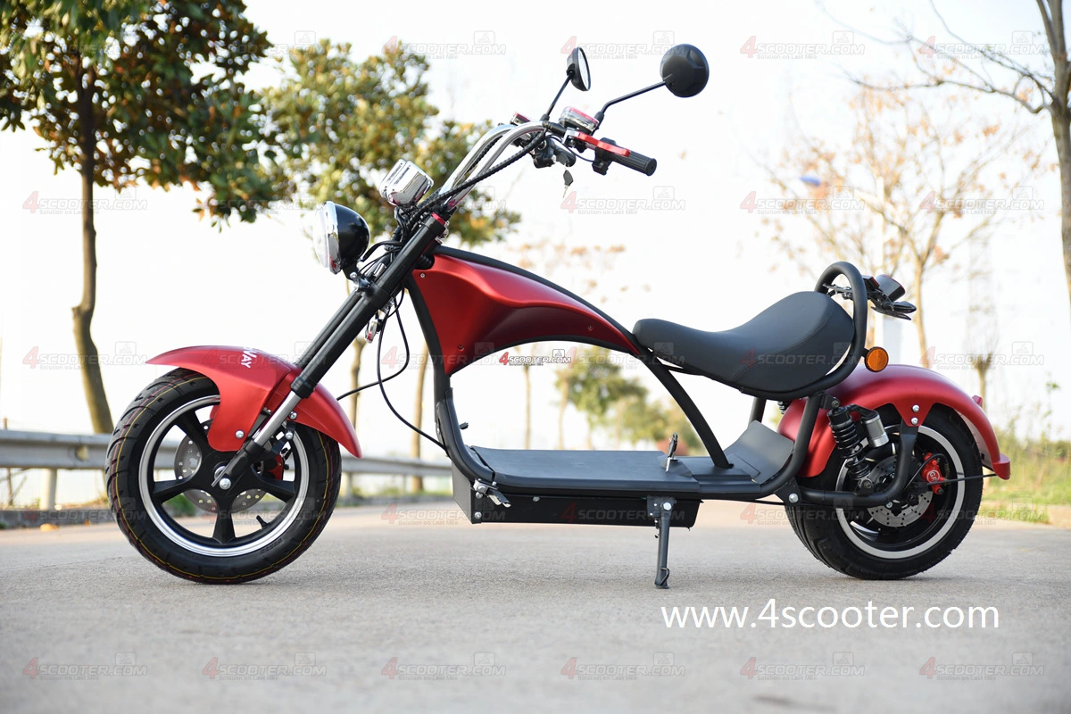 Wholesale/Supplier EEC Adult Electric Scooter Bike on Best Price