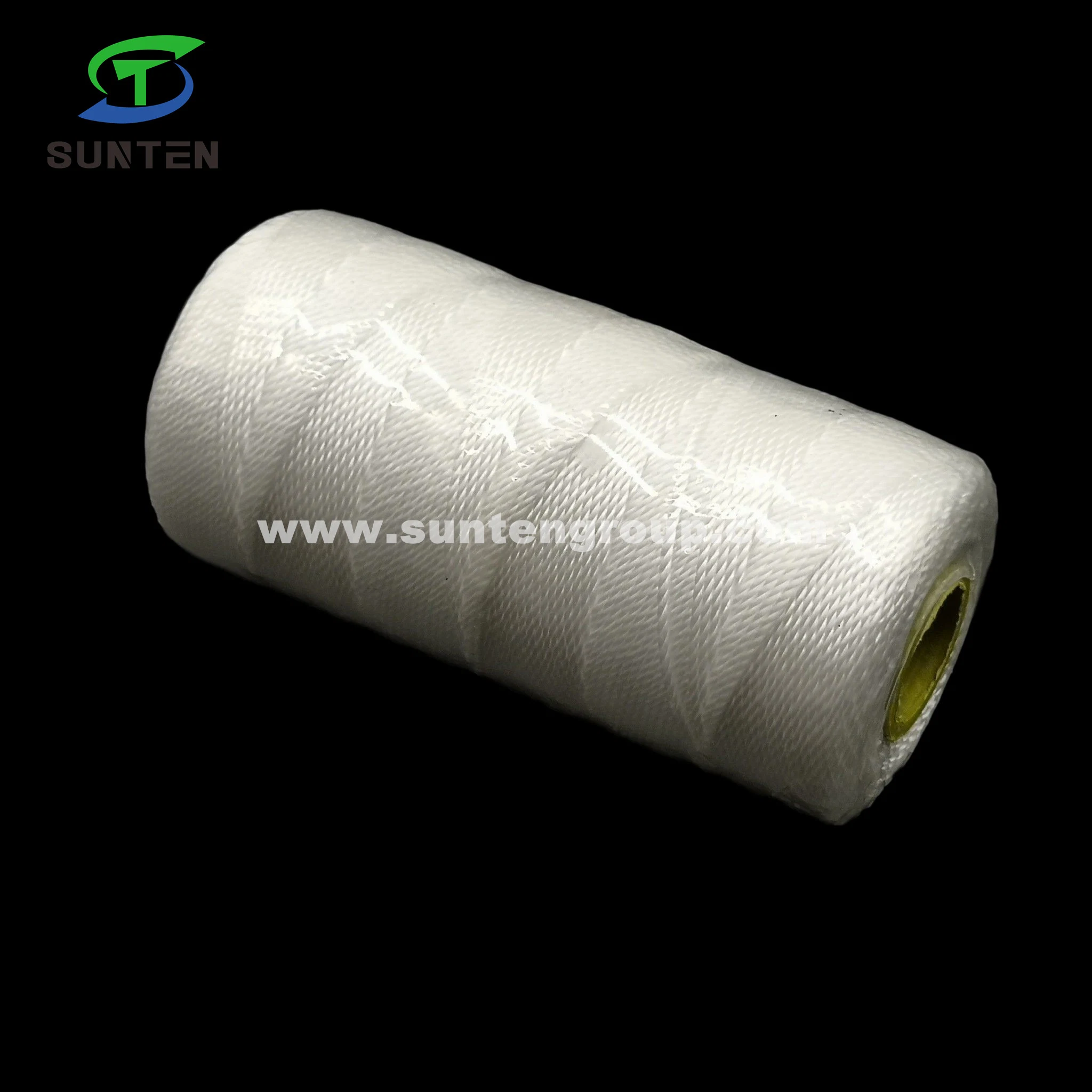 Factory Price High Tenacity White PA/PE/PP/Polyester/Nylon/Polyethylene/Polypropylene Plastic Twisted/Braided/Braid/Baler/Thread/Packing Line/Fishing Net Line