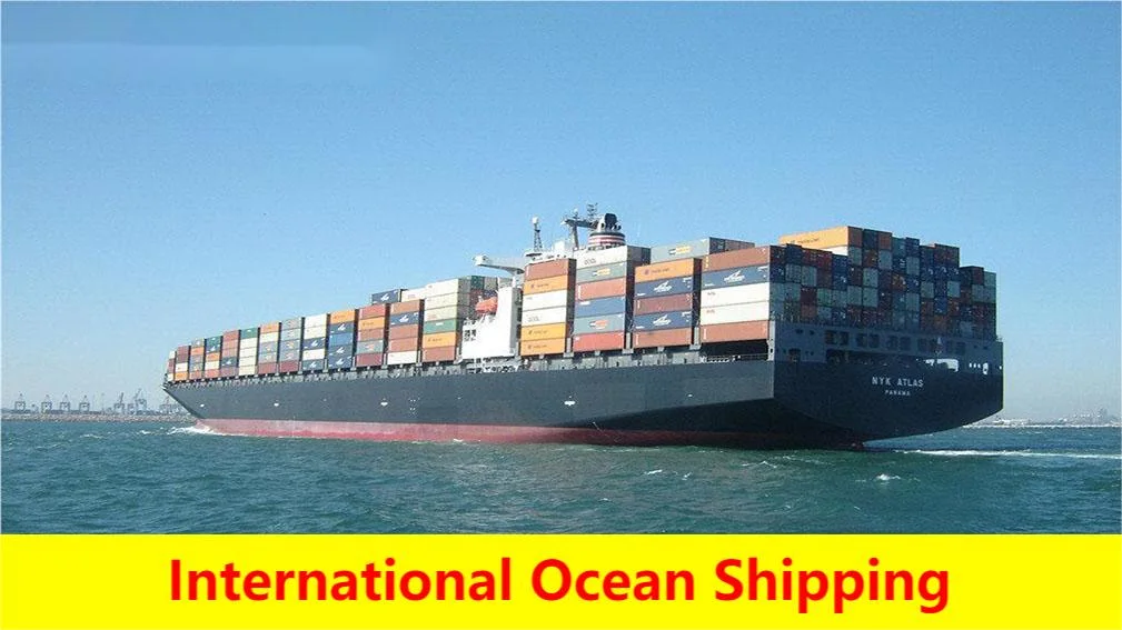 Logística Internacional Logística de Amazon Servicio de transporte/transporte de mercancías/transporte desde China hasta Italia