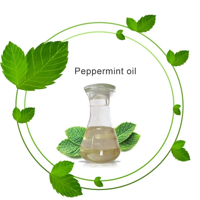 Peppermint Oil CAS 8006-90-4 Essential Oil Pharmaceutical Grade Food Beauty Skin Care