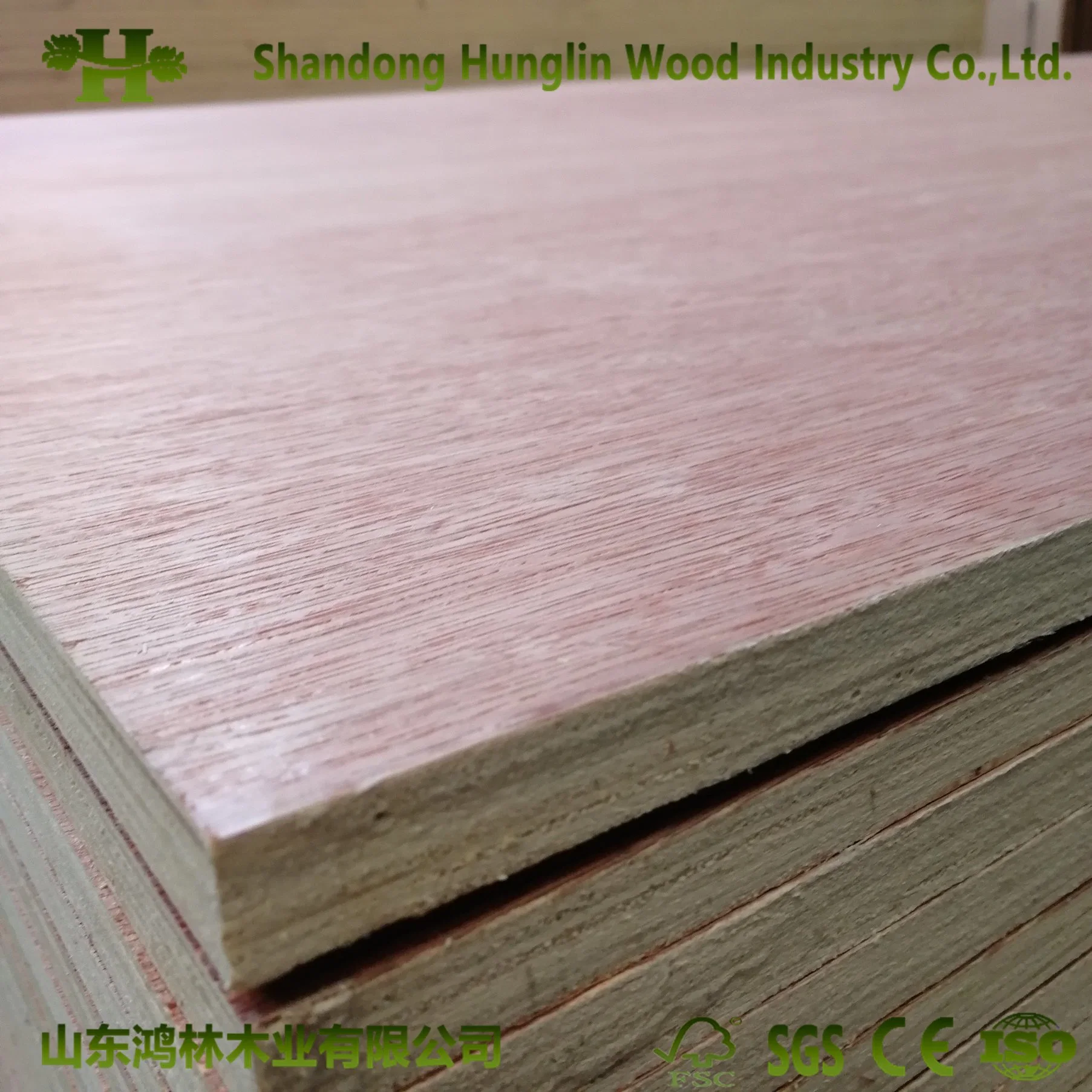 Poplar Okoume/ Bintangor/ Birch Veneered Commercial Plywood