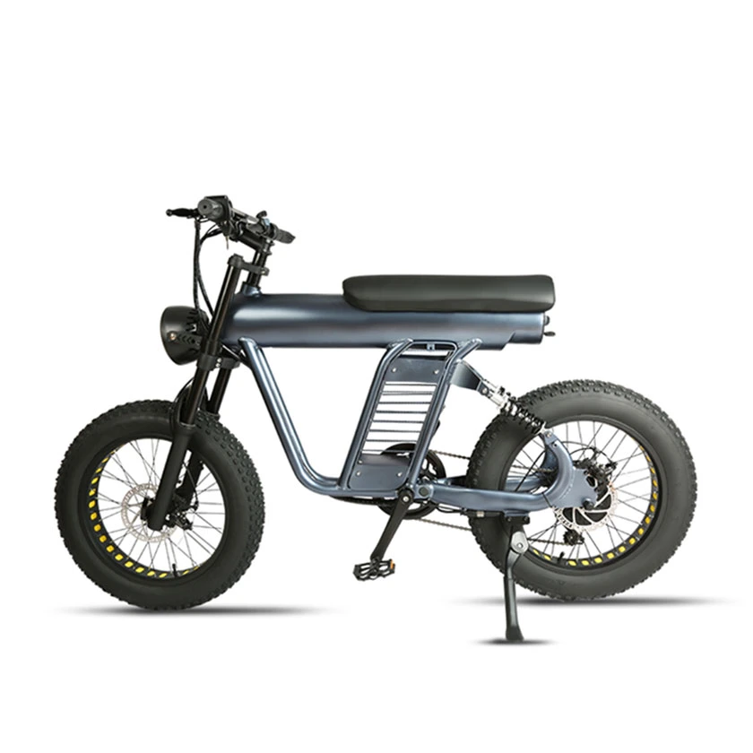 Aluminium Alliage T6061 Vélo Électrique Vélo Électrique Moto 20 Pouces Ebike 1000W