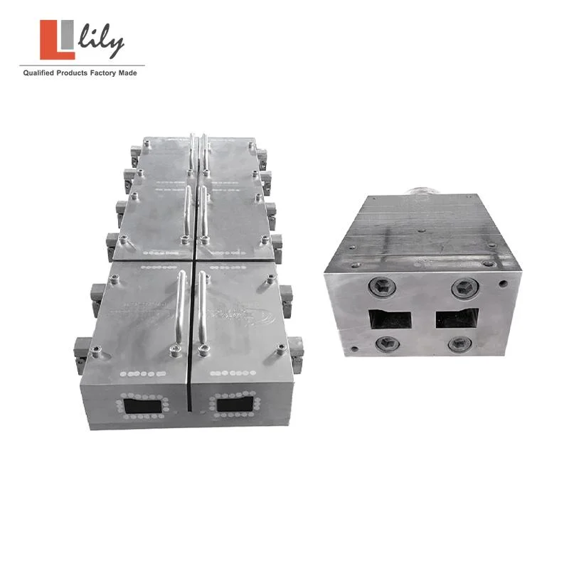 High Speed PVC Window Profile Extrusion Mould Die/Plastic Moulding