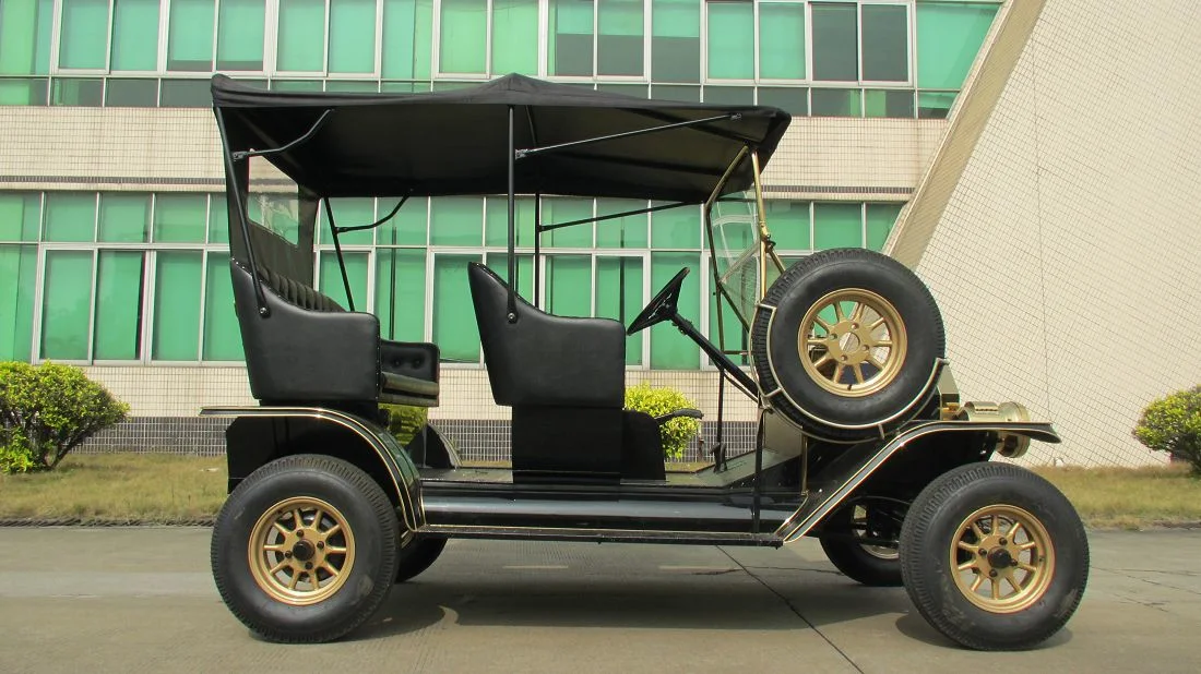 Rariro New Design Vintage Retro Hotel Electric Classic Vehicle for Sale