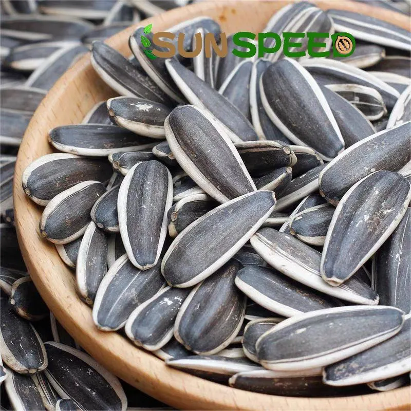 T6/T5 Inner Monglia Big Size 180-190/170-180 Sunflower Seeds Inshell