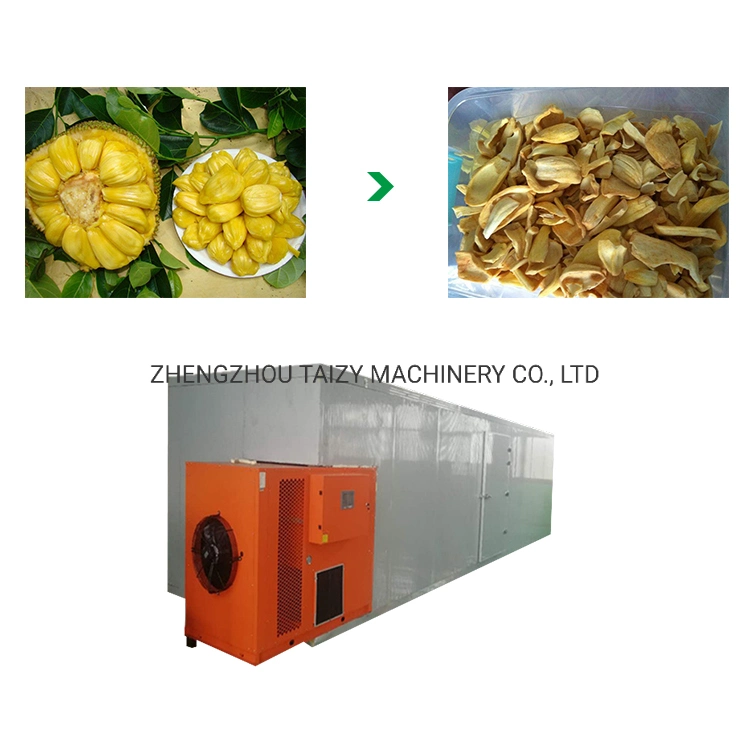 Industrial Fruit Heat Pump Dryer Fruits Dehydrator Dried Fruits Drying Machine Deshidratador Food Processing Industries Provided