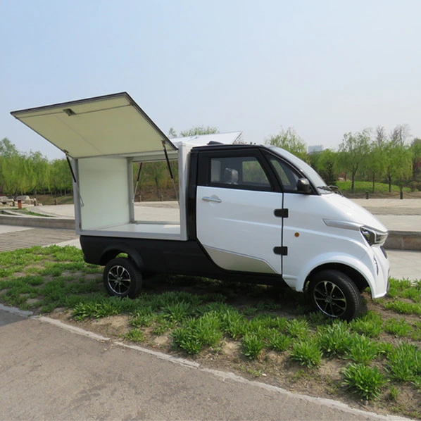 EEC Coc Certificate Electric Cooling Cargo 4 Wheel Small Electric Cold-Chain Seafood Delivery Van