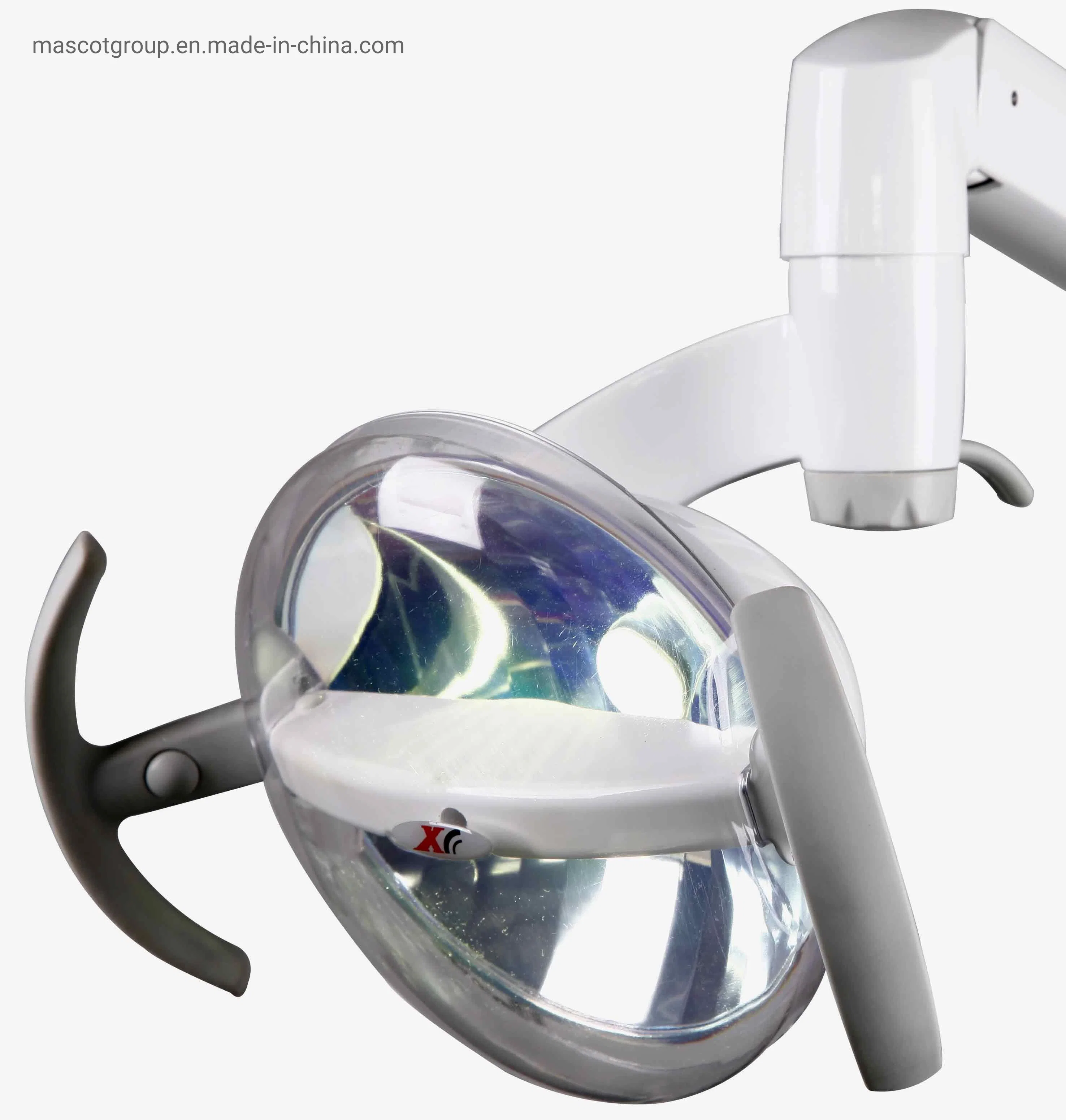 Chaise dentaire Lampe orale LED Lampe orale LED Lampe dentaire chirurgicale Lampe d'examen dentaire sans ombre