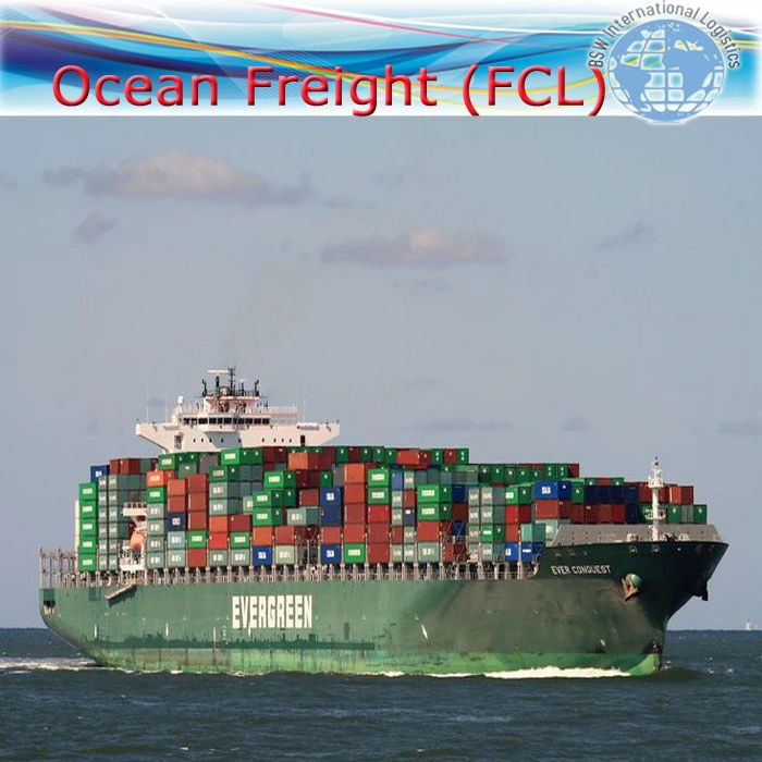 Professional Sea Fright Shipping Service From China to Columbia