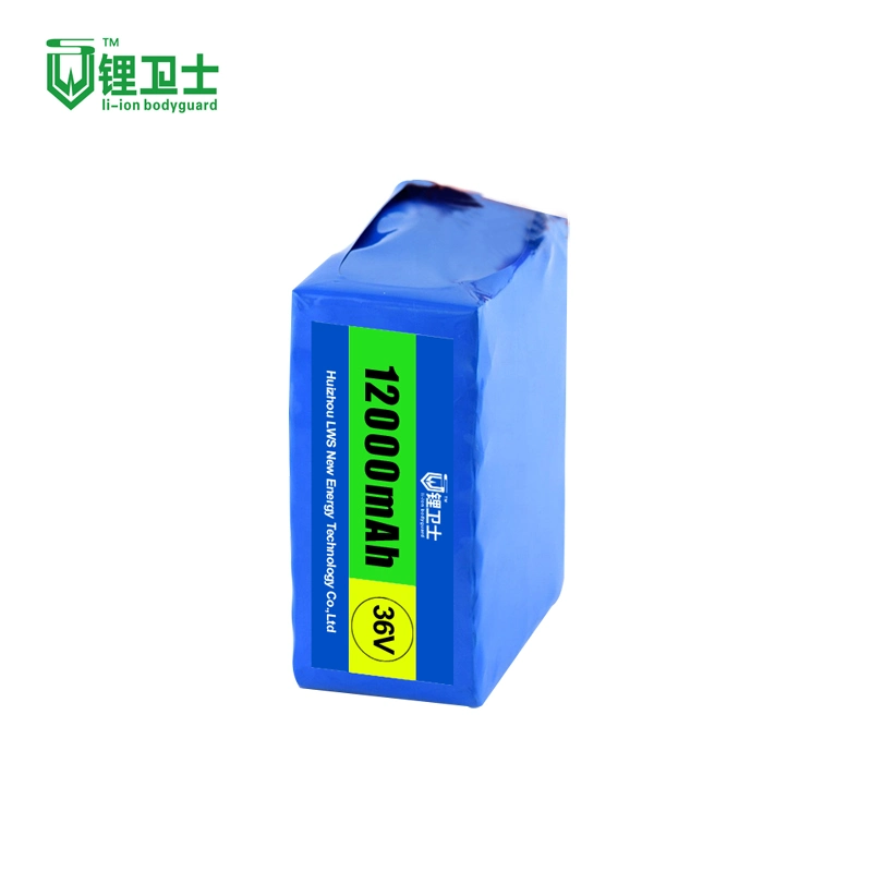 Durée de vie du cycle de vie LWS plus de 3000 fois 12 V 24 V 36 V 48 V. 52V 60V 72V 10ah 20ah 30ah 40ah 50ah 100ah batterie Pack Ebike