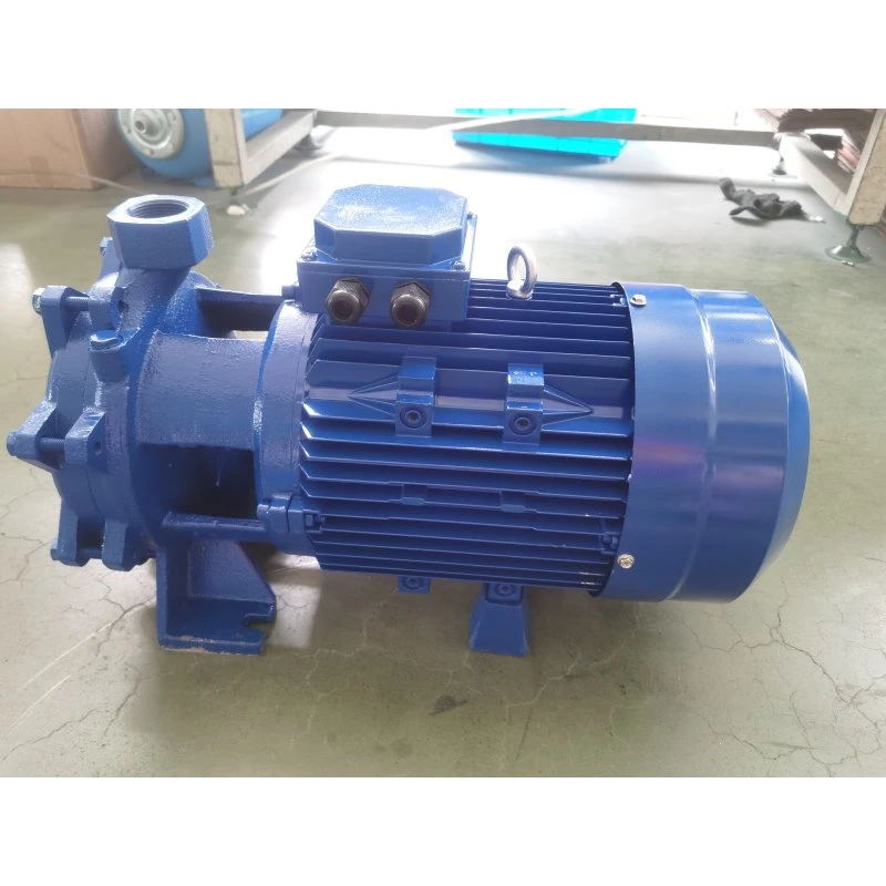 Characteristics of Centrifugal Pump Motor Input Power: 15HP X 100