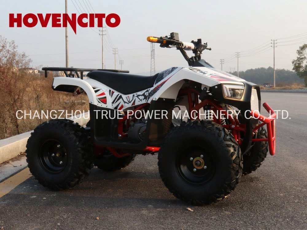 Sports ATV Dirt Quad Bike Electric ATV