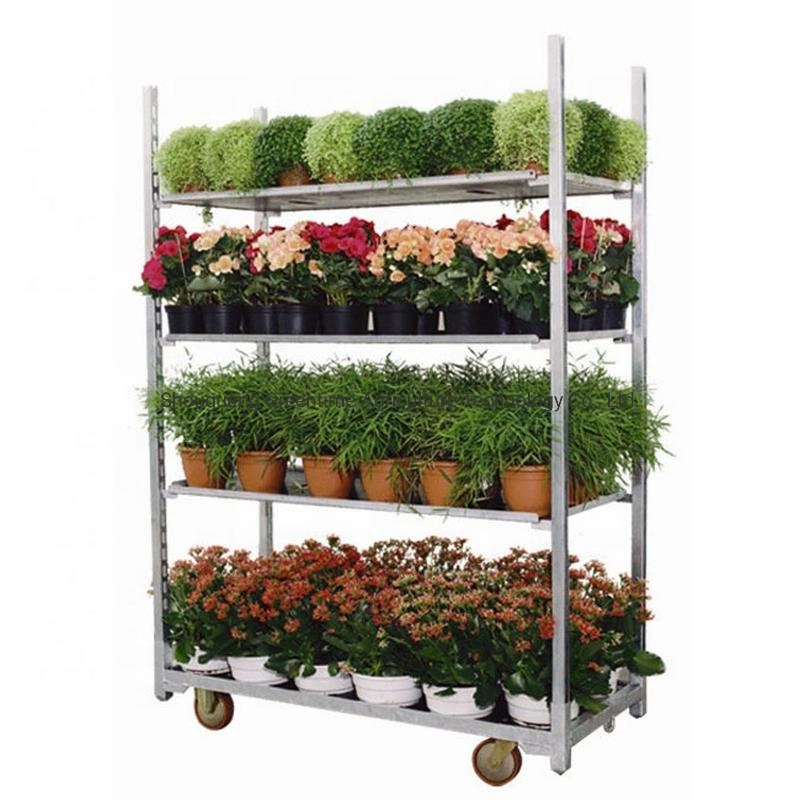 Nursery Transport Transfer Dutch Danish Plant Flowers Trolleys and Carts